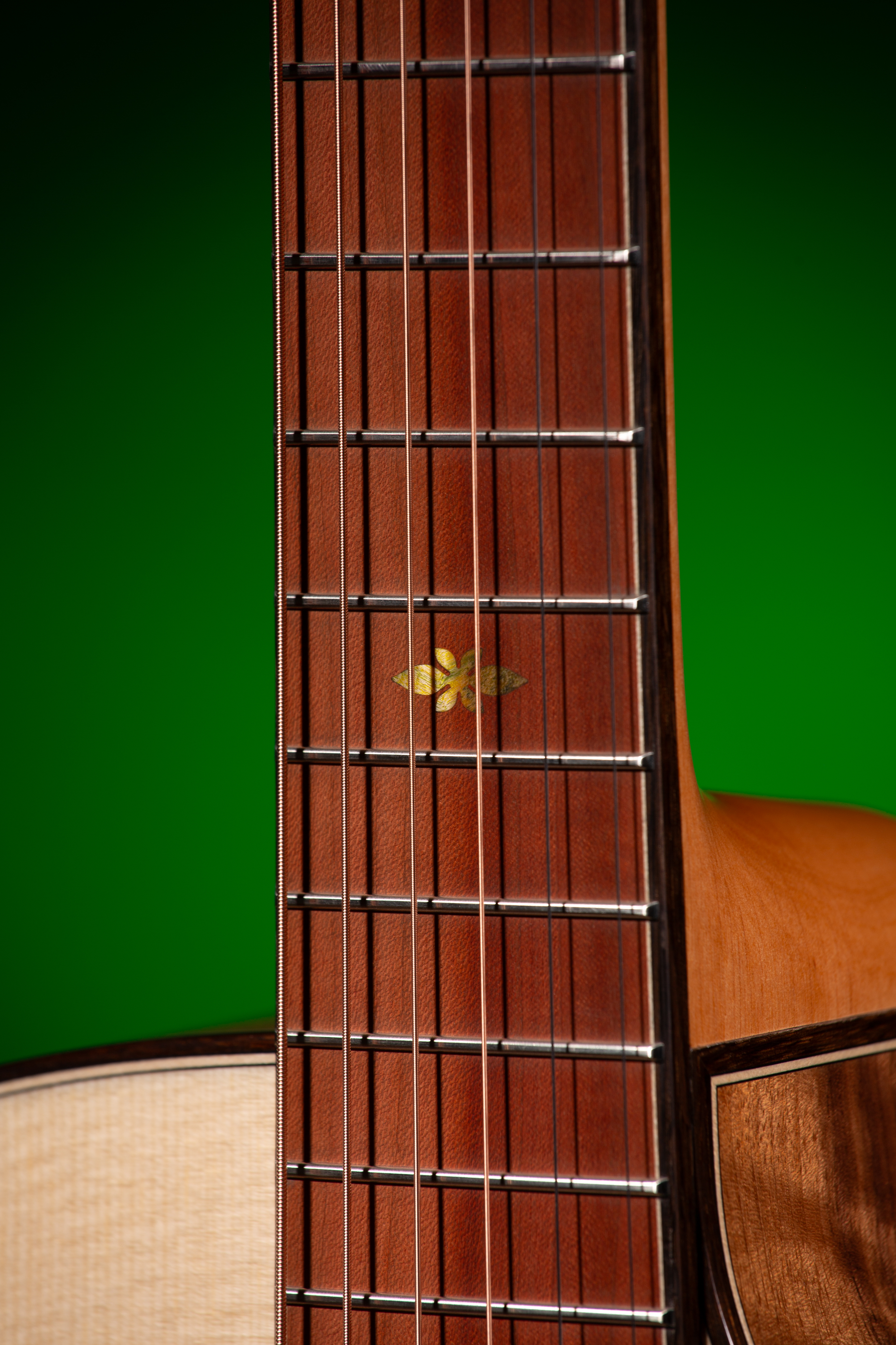 M-25 CP European Wood